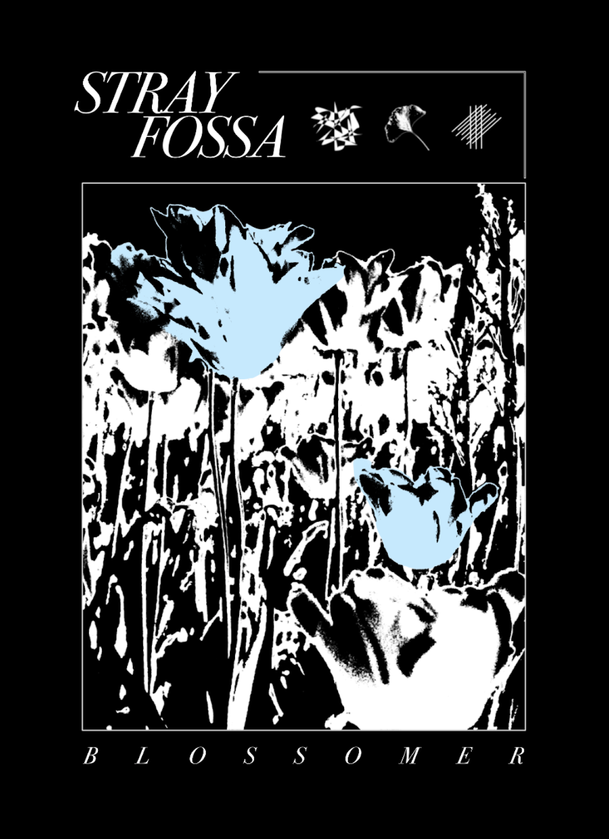 Stray Fossa - "Blossomer" T-shirt Black