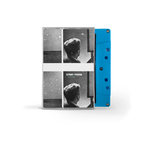 Stray Fossa - Laridae Cassette + BONUS tracks
